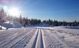Fjellet byr på 600 km med oppkjørte løyper.