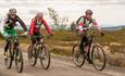 Great biketrail to Fagerhøi from at Skeikampen. 35 minutes from Lillehammer.