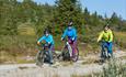 A family bicycling along a gravel road.