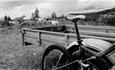 Bike leaned against railings with sheep in the background.