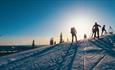 Skiing in Birkebeinerløypa