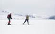 A couple skiing in Rondane