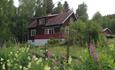 Cabin in a field of flowers, Norgesbooking