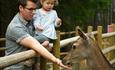 Father and daughter with the animals