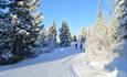 Cross country skiing at Nordseter