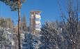 The moose observation tower