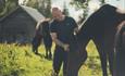 Person caring for a horse in a pasture