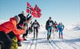 Birkebeinerrennet