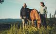 Horse grazing at Hovdal Farm