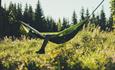 Hammock in nature
