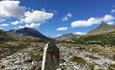 DNT sign in the Rondane National Park near Døralseter | Venabu Fjellhotell