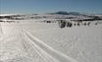 ski tracks in Langsua