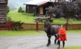 Walking with horse