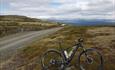 A bike parked alongside the mountain road.