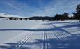 Crosscountry trails in Kvamsfjellet