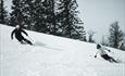 Kvitfjell ski