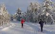 Cross-country Skiing in Lillehammermarka