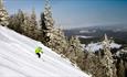 Alpine skiing in Kvitfjell