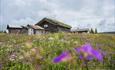 Traditional summer farm buildings in a flower meadow. Venabu Fjellhotell