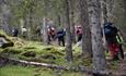 På vei opp til Ormtjønnkampen (1128 moh) gjennom gammel naturskog.