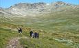 On the way up to the highest top in Langsua, "Skaget"