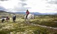 Riding in the mountains with Venabustallen