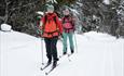 Cross-country skiing in Norway
