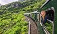 Flåm Railway