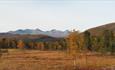 Automn colors in Rondane