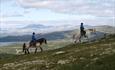 two horses and riders in the mountains