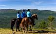 View of the horseback beyond the Espedalen