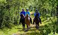 Horse back riding in the forest