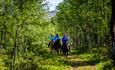 Horseback riding in pleasant surroundings of Espedalen