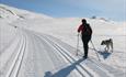 Crosscountry skiing, Espedalen