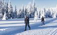 Cross Country skiing