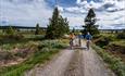 Drei Radfahrer fahren auf einem Schotterweg durch einen Fichtenwald auf die Kamera zu, im Hintergrund ist ein See zu sehen.