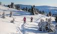 People walking in deep snow in mountain terrain