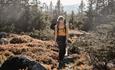 Person walking on a trail in forest and mountain terrain