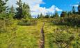 Narrow path through green terrain under blue sky