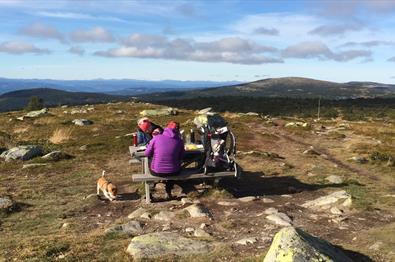 Lunkefjell (1012 moh) from Nordseter | 7km