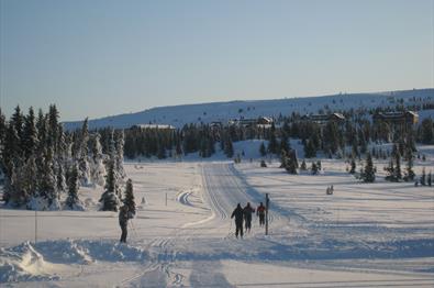 Crosscountry skiing at Gaiastova