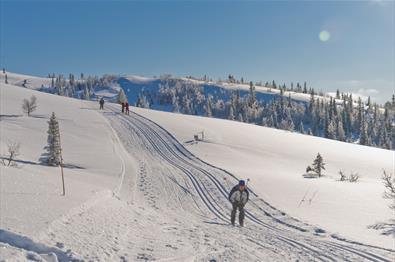 The Veslefjell Round (12km)