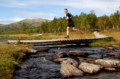 Furusjøen Rundt-run