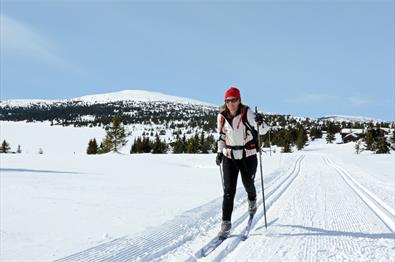 Cross country skier