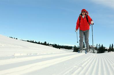 Skiing at Sjusjøen