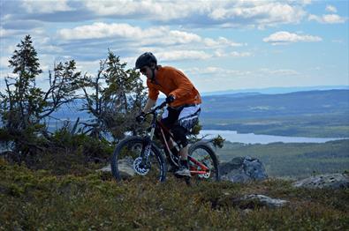 Terrengsyklist klatrer opp stien til Brannytta.