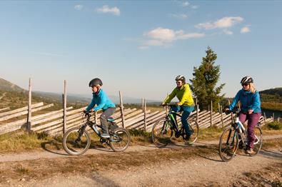 3 syklister sykler langs en skigard