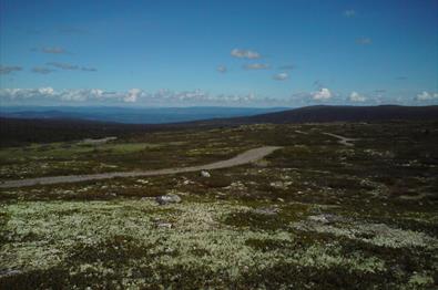 The Birkebeiner road