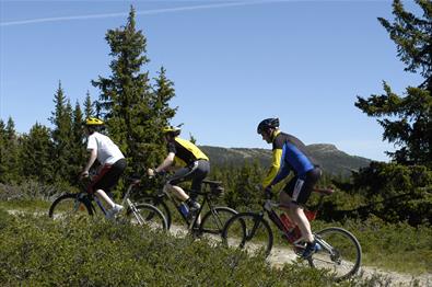 Biking in Kvitfjell