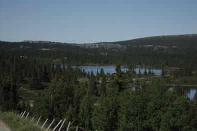 Utsikt over fjellvann